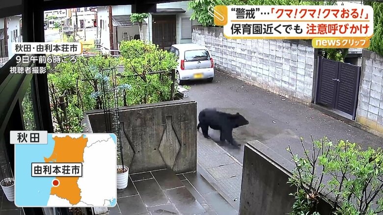住宅街を臆する様子もなく歩くクマ