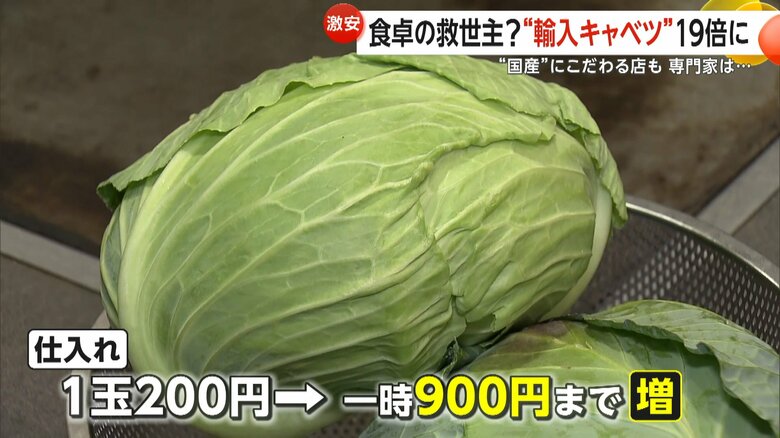 「お好み焼き桂」では、仕入れ価格が1玉200円から一時は900円まで値上がりしたという