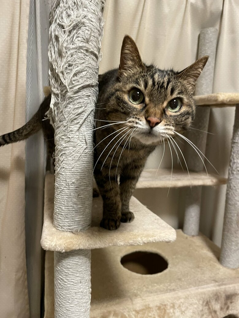 提供：えーさん