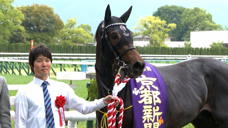 京都新聞杯を制したショウヘイ