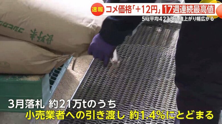 消費の現場に行き届いていない実態が明らかになっている放出した備蓄米