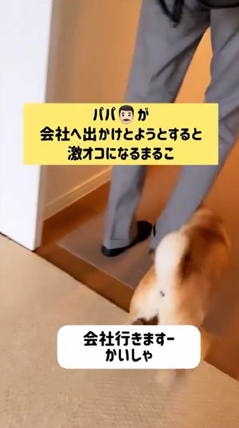 ガウガウと怒りながら