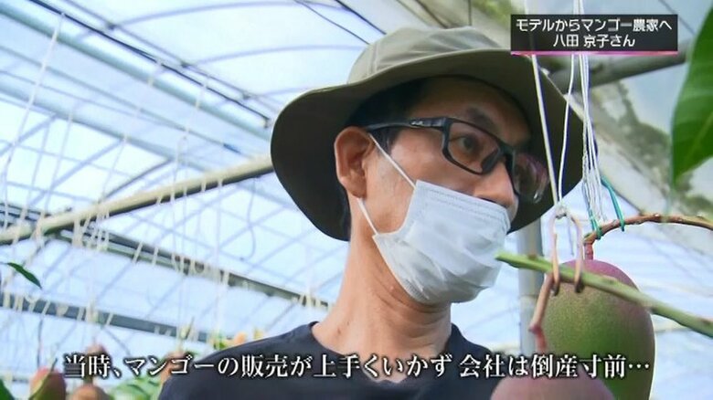 マンゴー農家・岩切浩さん