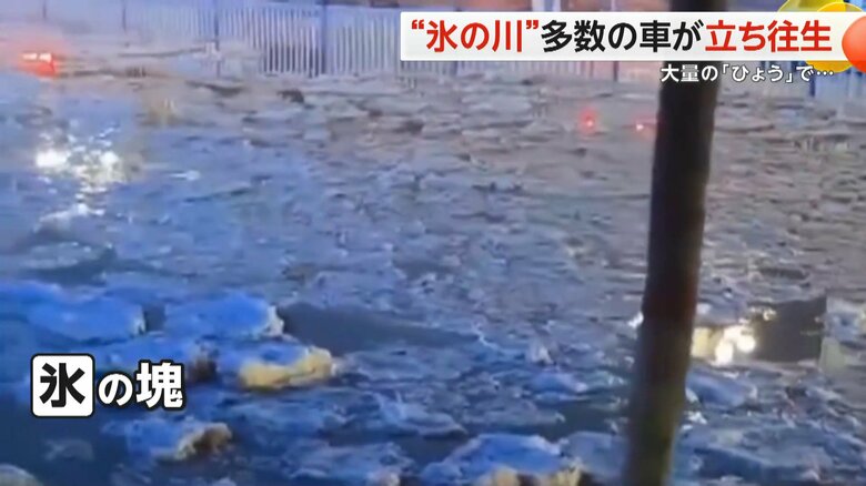 （スペクター・コミュニケーションズ）