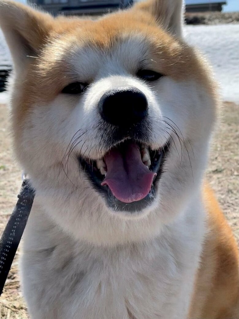 笑顔のまるくん