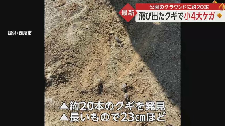 地面から飛び出ていても、一見するとよくわからない