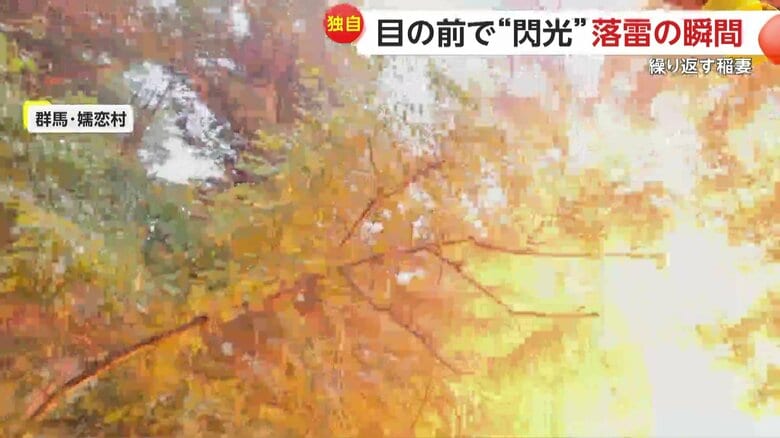 距離にして10mほど前にある木に雷が落ちた瞬間