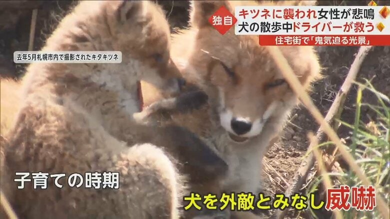 もし襲われそうになったら？
