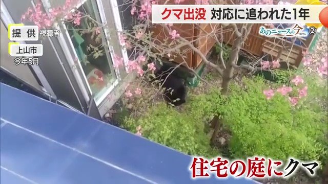クマが窓際近くにしばらくとどまっていたそう
