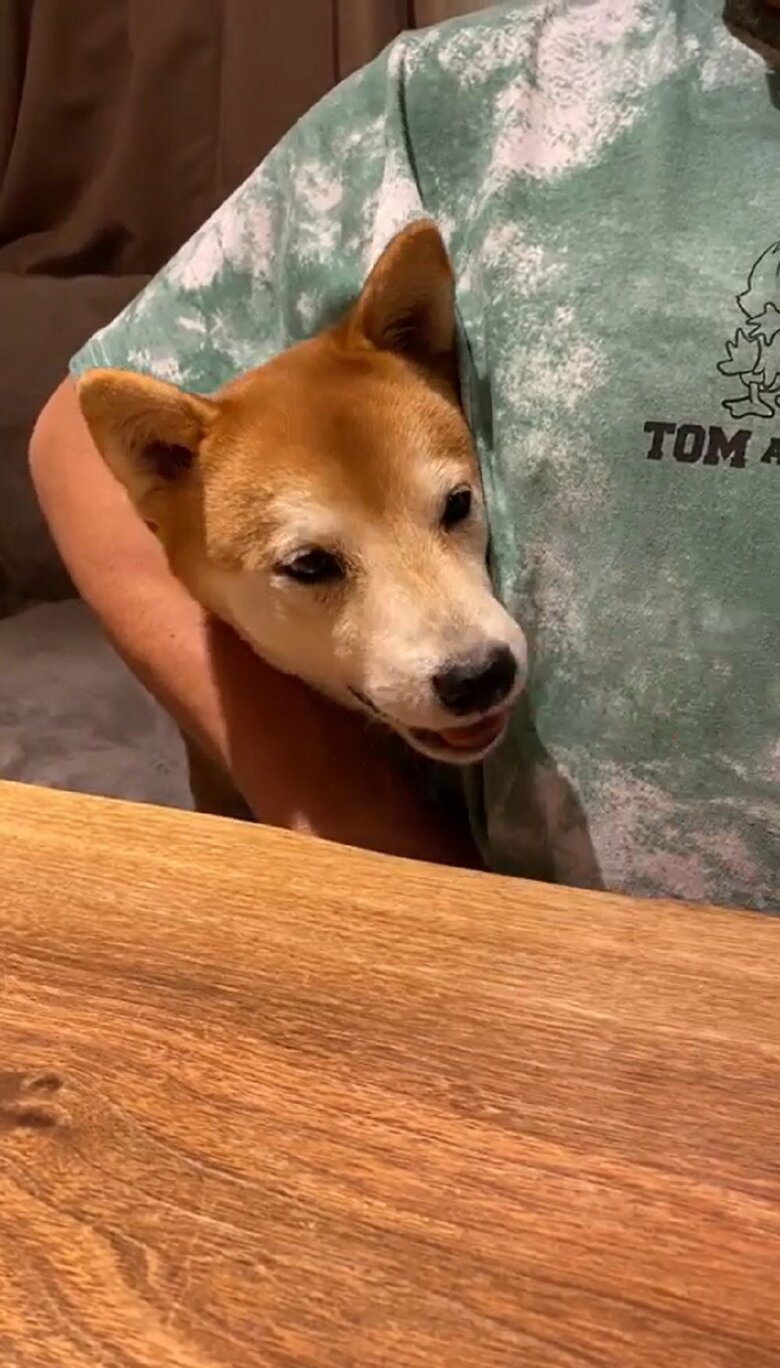 そのままモグモグ