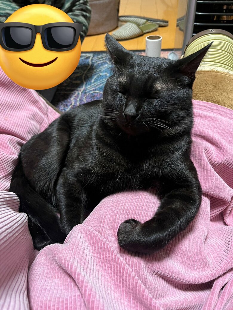 握り拳寝（提供：サラミさん）