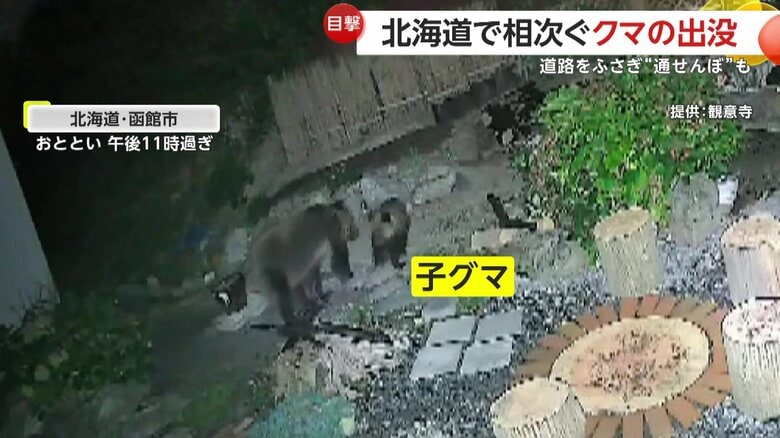 そばには子グマも
