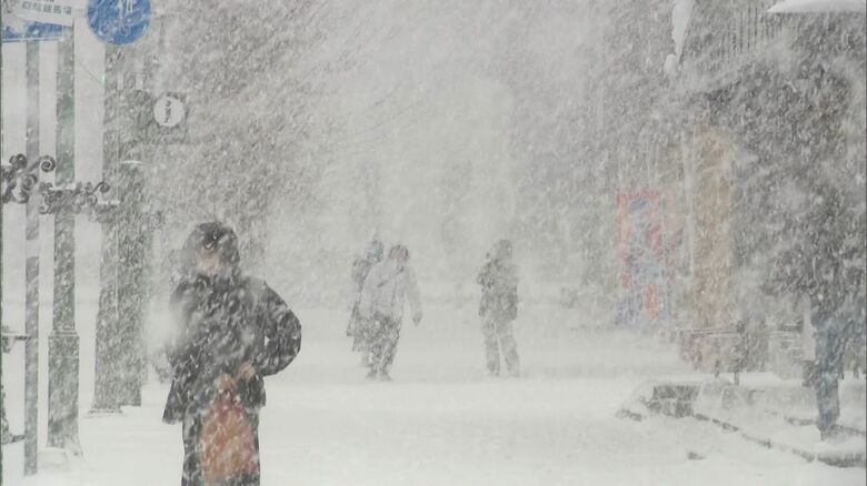 人気観光地の函館でも横殴りの雪が