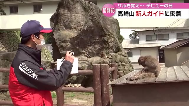 名前を覚えるためスマートフォンでサルを撮影