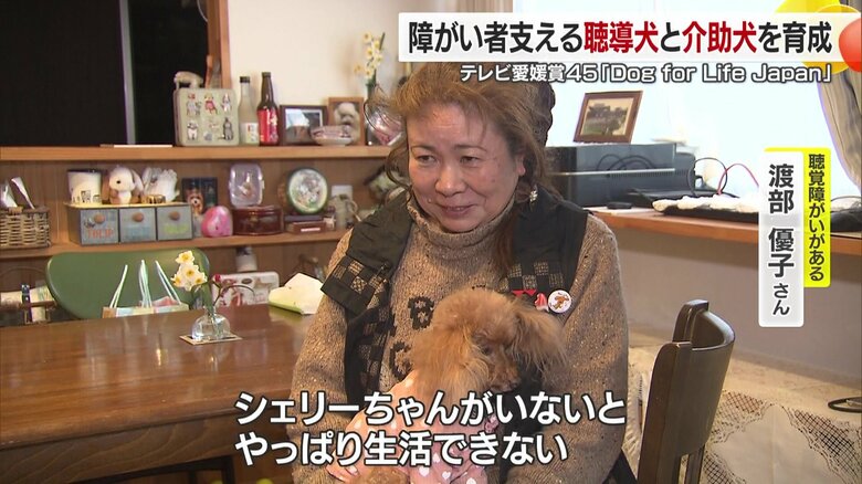 「宝物」と呼ぶパートナー犬が変えた日常