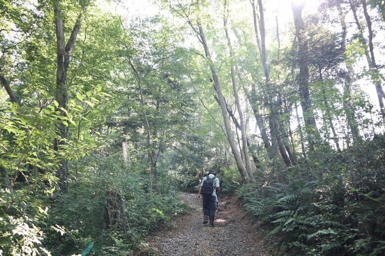 担当者に案内され森の中へ