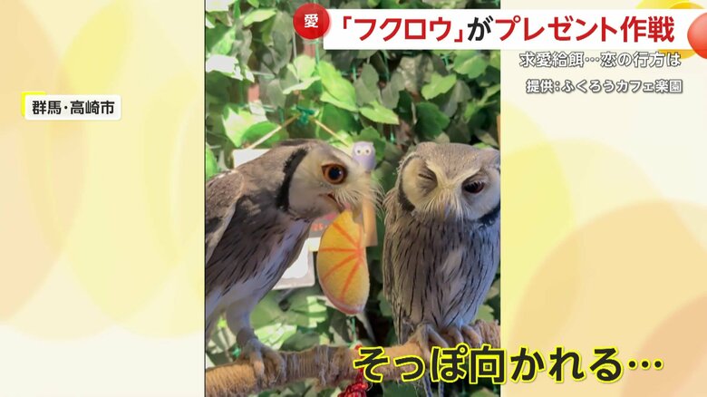 気持ちがはやりすぎて失敗したミカンくん