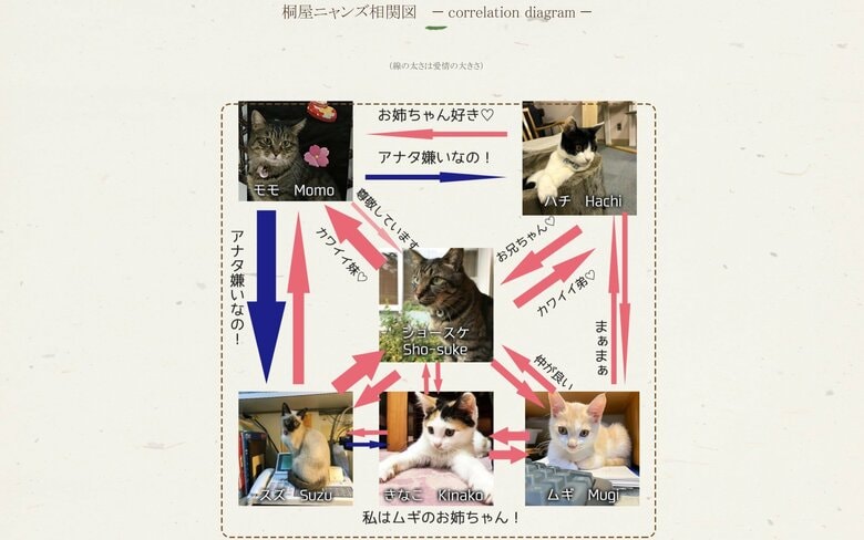 ネコスタッフの相関関係　※あんずちゃん、うめ吉くん、あずきちゃんは未反映（桐屋旅館のウェブサイトより）