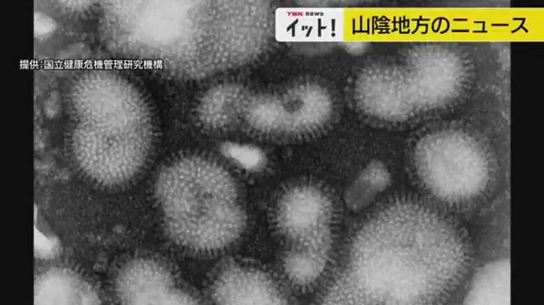 インフルエンザウイルス