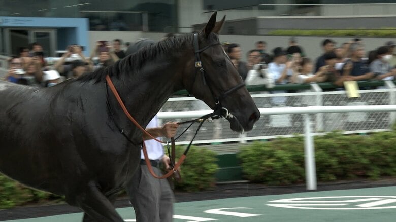 野路菊Sを制したアランカール