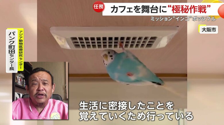 「生活に密接したことを覚えていくため行っています」と解説する専門家
