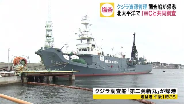 クジラ調査船が帰港 北太平洋でIWCと共同調査 塩釜港〈宮城〉