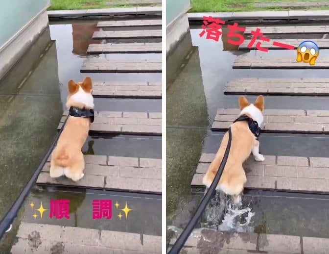 “リベンジ”はあと一歩のところで水没。惜しかった…！