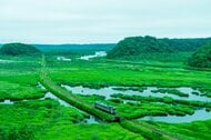 まるでアニメの1シーン…日本最東端を走る「花咲線」はナゼ湿原に線路を敷いたのか?担当者に聞いてみた