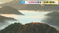 紅葉と雲海が織りなす幻想的な景色...雲海が現れるのは限れた気象条件の朝　運が良くないと出会えない絶景　滋賀・おにゅう峠　