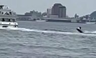 【独自】猛スピードの水上バイクが危険な行為　観光船につきまと…