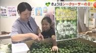 シークヮーサーの日！生産が盛んな本島北部で消費拡大につなげるイベント
