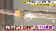 「大倶利伽羅広光」「蜂須賀虎徹」など171振りが津幡町に集結　「目で観る刀の教科書展」あすから