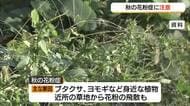 さわやかな秋晴れの一方「秋の花粉」に注意！マスクや洗顔、うがいで予防を　8日は半袖でも快適な1日に