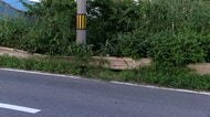 ひき逃げか　国道で80歳の女性死亡　“プラスチック片”が多数散乱