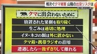 クマ被害に遭わないために　北日本はドングリ凶作で出没増…山陰は？冬眠前のシーズンに警戒続く