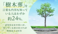 「樹木葬」を言葉も内容も知っている人はわずか約24%。認知度はまだ低いが、知っている層の約41%が興味ありと回答