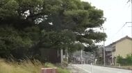 【新潟の天気】22日朝にかけまとまった雨　引き続き土砂災害・強風に注意を