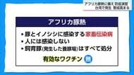 有効なワクチンがなく致死率が高い「アフリカ豚熱」に備え家畜防疫演習
