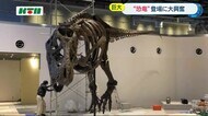 巨大恐竜・ティラノサウルスのレプリカが登場 子供たちは大興奮【長崎市】