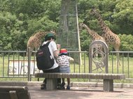 “あの動物”も歓迎?市営動物園が子供らに“無料開放” 新型コロナ対策は“滞在2時間以内”“一方通行”