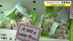 「うみのミルク」営業開始 宮古産のカキを提供<岩手県>