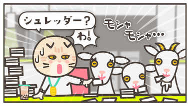 「もらった名刺をすぐしまっちゃダメ?」 それってホント!?もやもやマナー