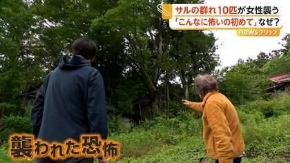 サルの群れが女性を襲撃「こんなに怖いの初めて」　菓子入りバッグに飛びかかる　女性にけがなし　宮城・白石市