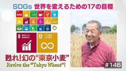 一度は生産中止になった幻の“東京小麦”復活で地域活性化を図る農家の思い