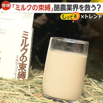 【ミルクの束縛】「電車乗って来たのにない！」異例の大ヒットで140万本製造…牛乳離れ・エサ代高騰の酪農家へ「美味しい商品作り恩返しを」