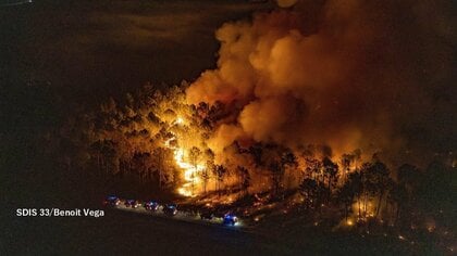 ヨーロッパ山火事　ギリシャで消防士3人死亡　フランスでは猛暑や強風で延焼拡大のおそれ　火災関連で26人逮捕