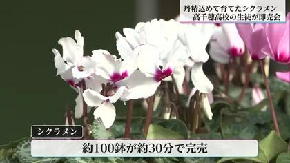 高校生が１年間丹精込めて栽培　彩り豊かなシクラメンの即売会