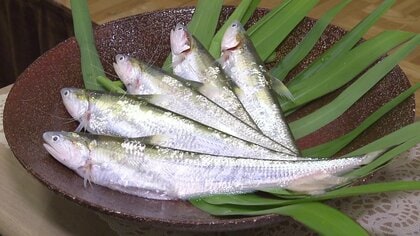 有明海の「エツ」料理の名店が100年の歴史に幕 伝統の味を守ってきた“老舗割烹”の閉店を惜しみ涙する常連客も