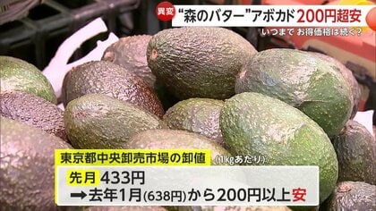 3月中頃まで安く買える」アボカド“売値100円台前半”も メキシコで記録