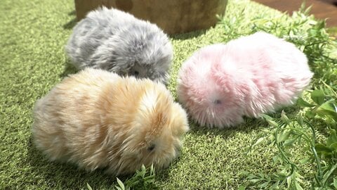 触れて感じるAIペットロボット「Moflin」の魅力　400万以上の“個性”を搭載
